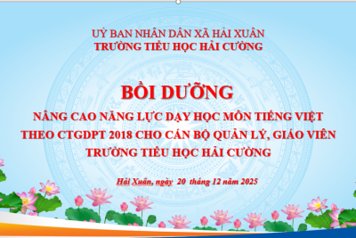 Tập huấn Triển khai chuyên đề nâng cao năng lực dạy học môn Tiếng Việt